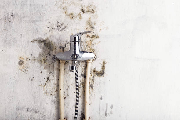 Best Localized Mold Remediation (e.g., coastal areas, humid climates) in Jemez Pueblo, NM