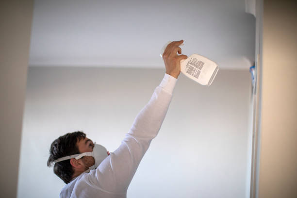 Best Black Mold Remediation in Jemez Pueblo, NM