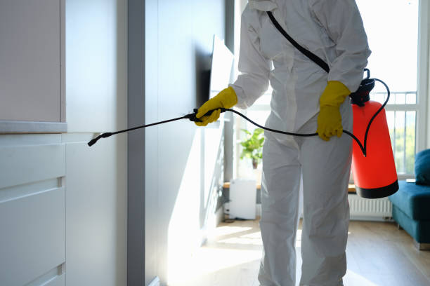 Best Residential Mold Remediation in Jemez Pueblo, NM